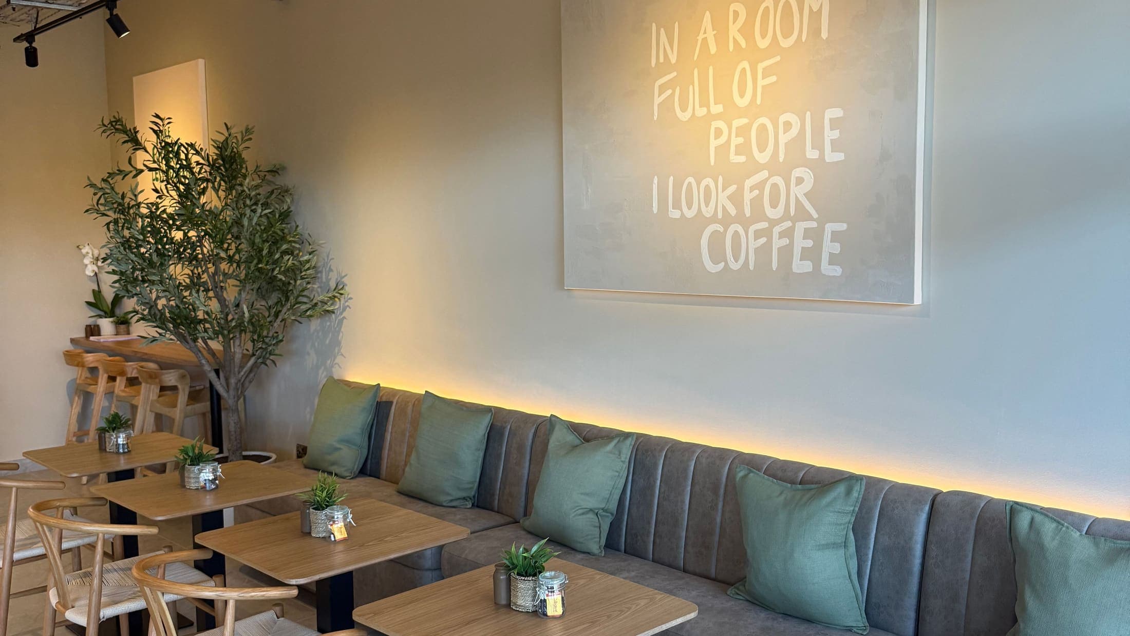 Banquette seating with green cushions, oak tables and an olive tree inside TOAST & Co café in Allestree, Derby